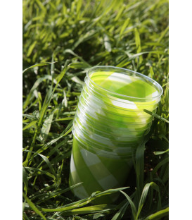 Bicchieri di Plastica Vichy a Quadri Bianco Verde Lime 300 cc 3 confezioni