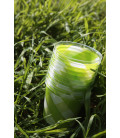 Bicchieri di Plastica Vichy a Quadri Bianco Verde Lime 300 cc 3 confezioni