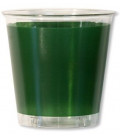 Bicchieri di Plastica Verde Scuro 300 cc
