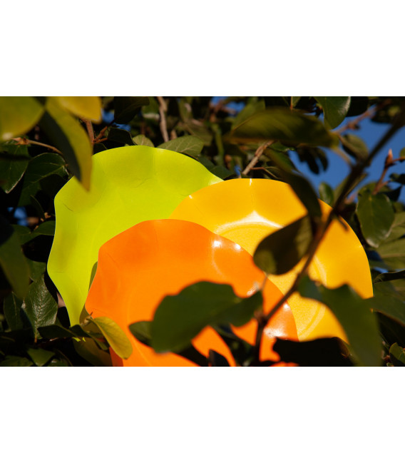 Piatti Piani di Carta Compostabile a Petalo Arancione 21 cm