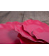 Piatti Piani di Carta Compostabile a Petalo Rosso fragola 21 cm