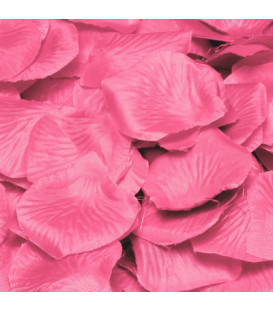 Petali Rosa Acceso Candy Pink 144 pz 2 confezioni