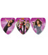 Festone Bandierine Camp Rock Disney Channel