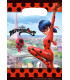 Loot Bag Miraculous Lady Bug