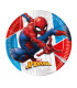 Piatto Piano Compostabile SpiderMan Super Hero 20 cm